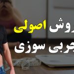 چهار روش چربی سوزی، کاهش وزن و آب کردن چربی شکمی، تناسب اندام و سلامتی