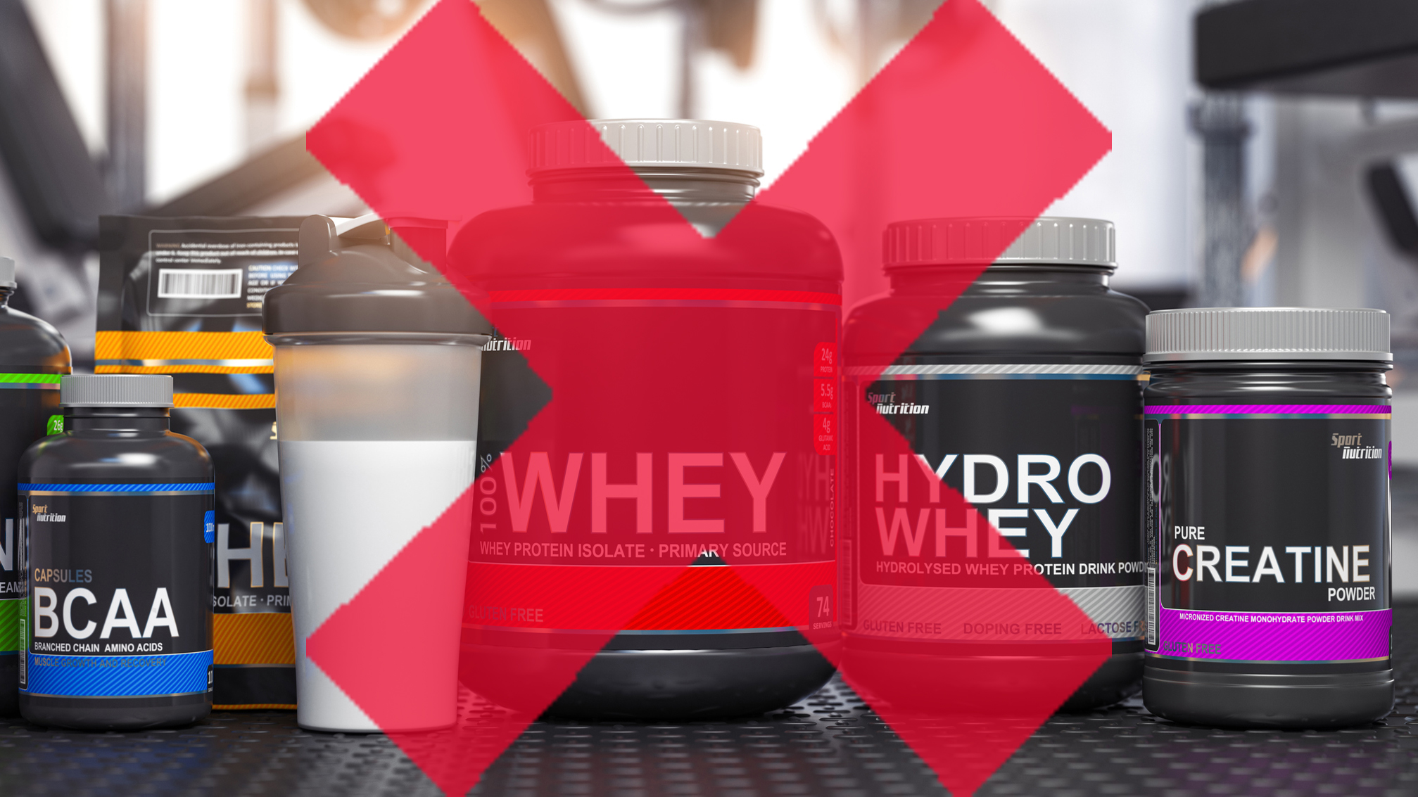 protein supplements